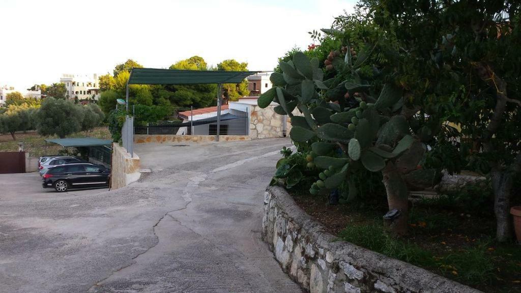 Villa Lucrezia Trilo Vieste Bagian luar foto